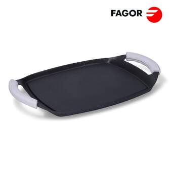 PLANCHA ASADORA FAGOR FUNDIGRILL 26X21CMS ASA SILI